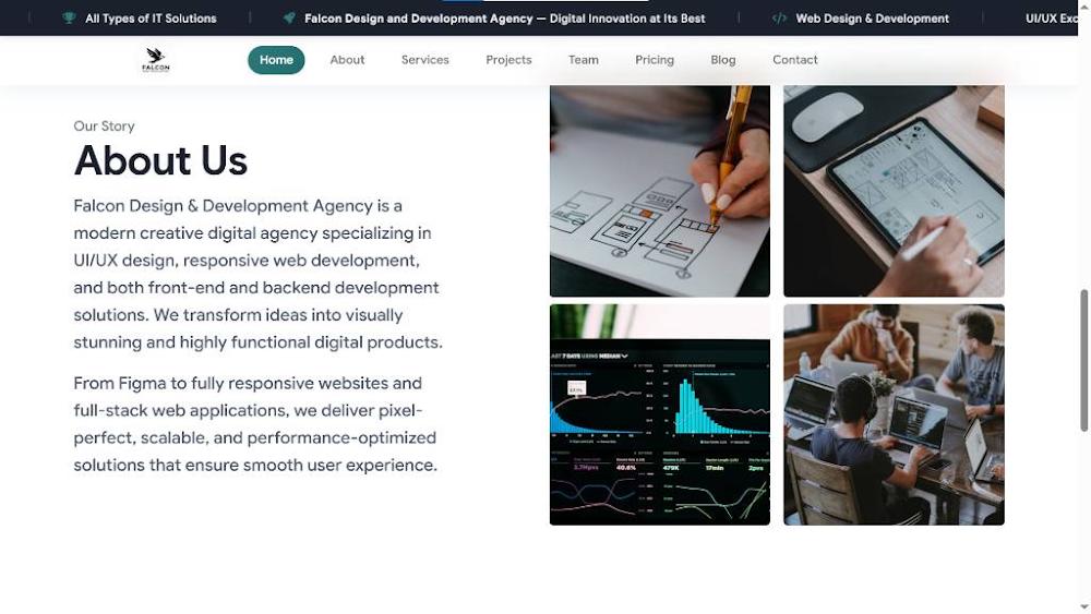 Falcon Agency Website Layout